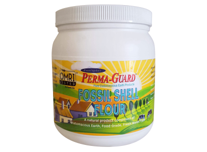 Fossil Shell Flour Jar